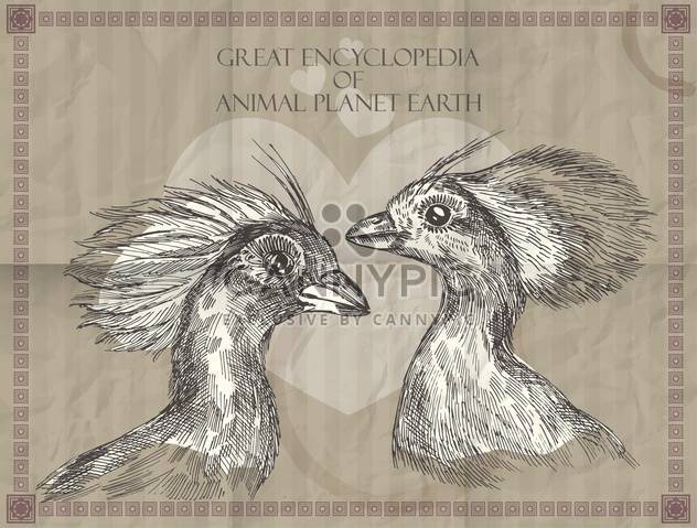 Vector peacocks heads from Great Encyclopedia of animals Planet Earth - vector gratuit #135316 