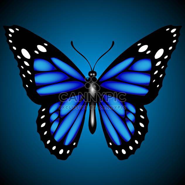blue vector butterfly illustration - бесплатный vector #129136