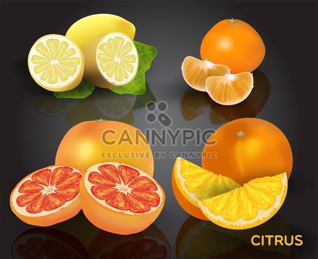 Set of citrus fruits on dark background - бесплатный vector #130586