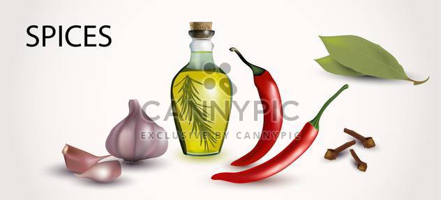 Vector illustration of spices and flavorings on white background - vector gratuit #132036 