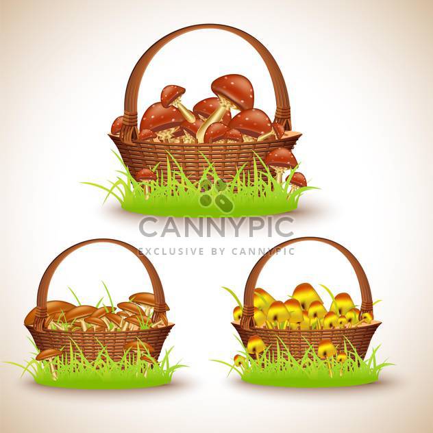 vector baskets set with mushrooms - Free vector #132646