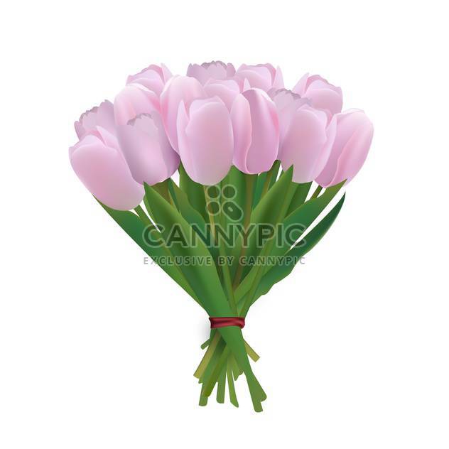 vector bouquet of pink tulips - vector gratuit #134816 